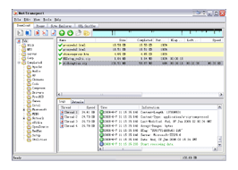   Net Transport Vista (32-bit) 2.52.386,  , download software free!